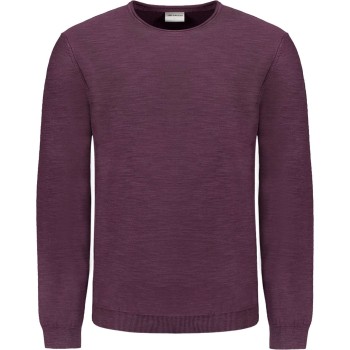 Pullover Crewneck Garment Dyed + St Aubergine