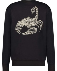 Scorpion sweater black