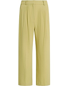 Fintan Cropped Pants Folly