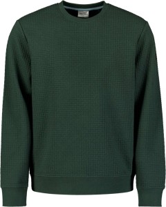 Sweater Crewneck Double Layer Jacqu Dark Green