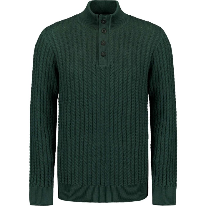 Pullover Half Zipper and Button Sol Dark Green